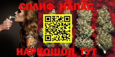 PSILOCYBIN Бугуруслан