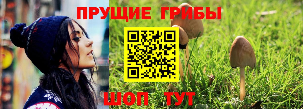 Галлюциногенные грибы Psilocybine cubensis Ханты-Мансийск